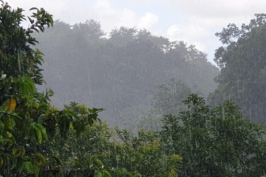 Abwasser fällt auf Les Abymes