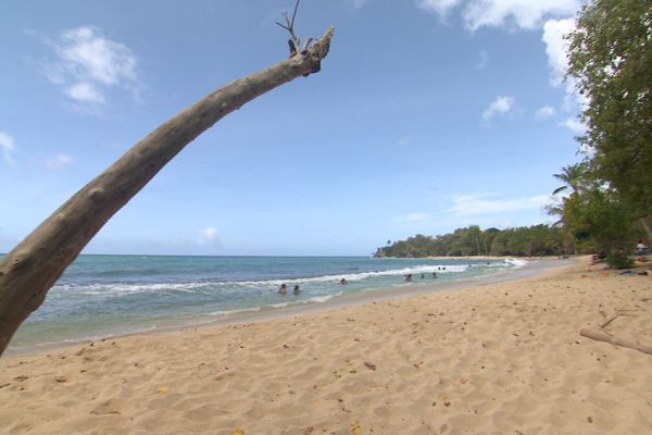 Anse Mabouya à Sainte-Luce