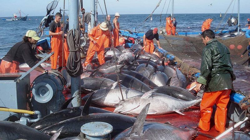 Pêche du thon Mada accord UE sept 2022