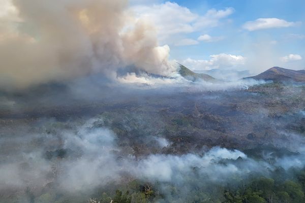 Plus de 1 000 hectares de végétation ont brûlé entre le 1er et le 5 janvier 2025, dans la plaine de Prony.