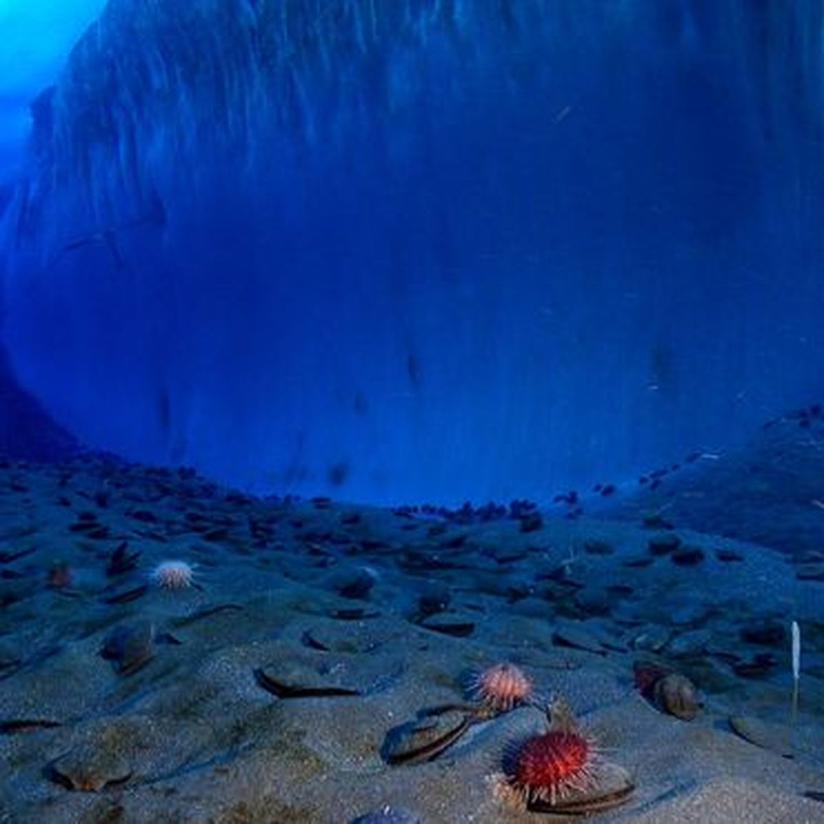 Aussi profond que l ocean histoire