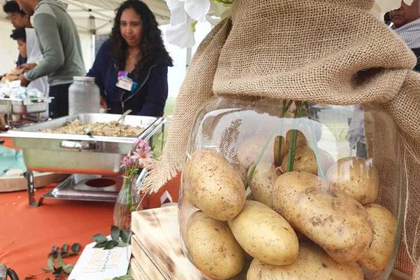 Plaine des Cafres : la fête de la pomme de terre bat son plein avec un brunch péi local