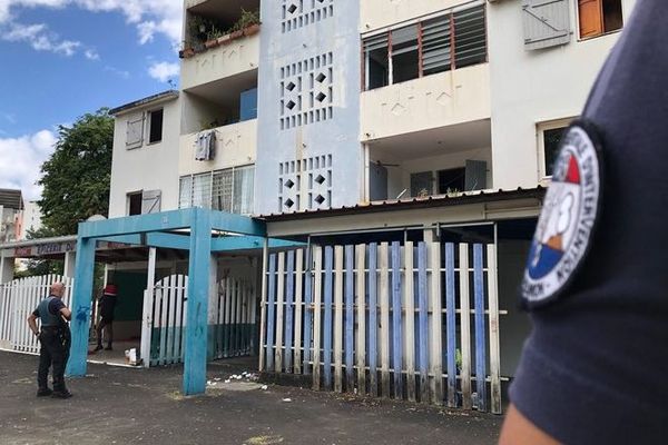 Butor coupe de feu Saint-Denis police 180520