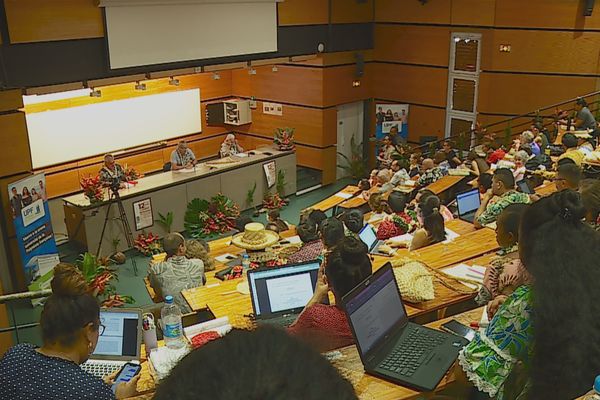 Ce colloque réunit une trentaine de chercheurs venus de  Nouvelle-Calédonie, de Samoa, de Nauru, Kiribati, ou encore de Hawaii, de Californie et d’Australie.