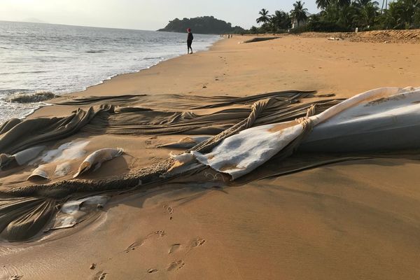 Un des stabiplages de la plage de Montjoly qui n'aurait pas résisté aux effets de la houle