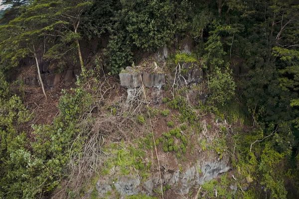 Tautira : l'archéologie au secours de la montagne ?