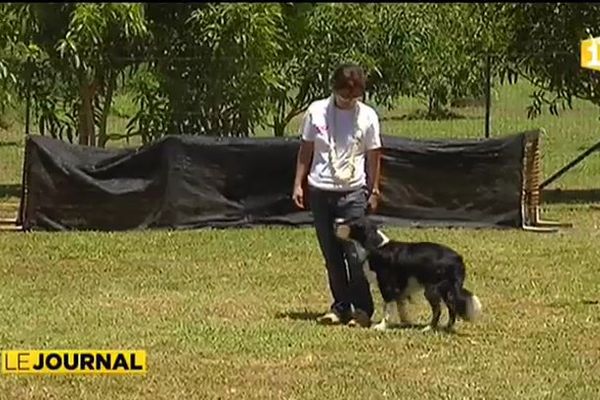 Un nouveau club canin pour la Presqu'île