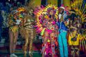 Guadeloupe La 1ère au coeur des parades des Jours gras de la saison 2025 du carnaval