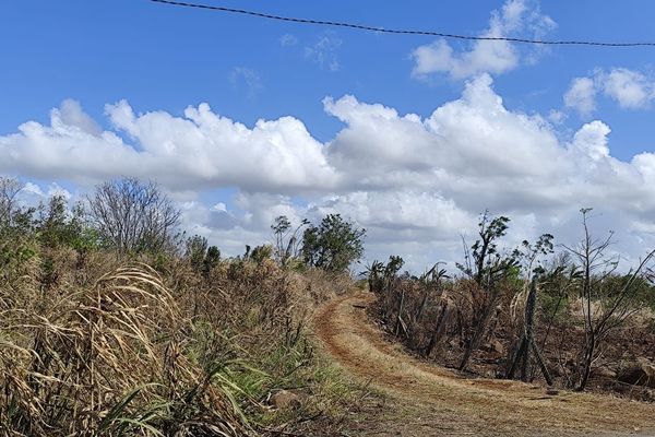 Sécheresse précoce à l'île Maurice : une situation préoccupante selon les autorités