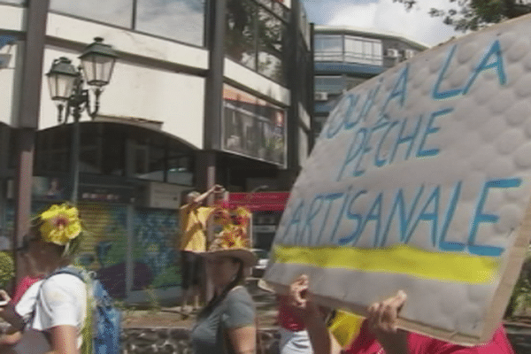 Manifestation pour la pêche artisanale 