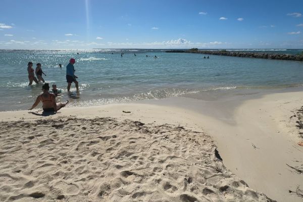 Les baigneurs étaient nombreux sur la plage du bourg de Sainte-Anne, ce mercredi, même à l'endroit où se déversent les eaux usées - 08/01/2025.