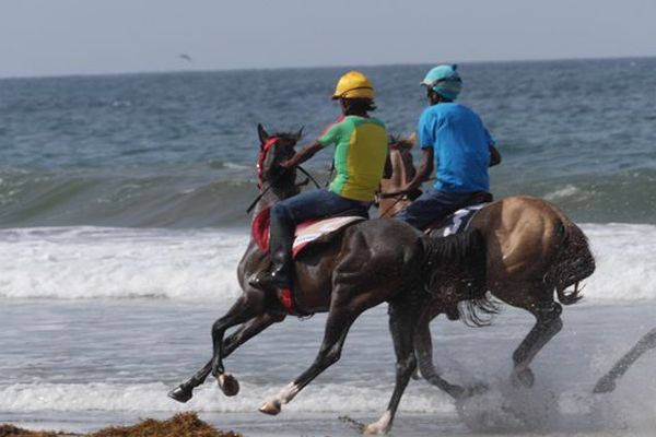 Galop Tombolo 