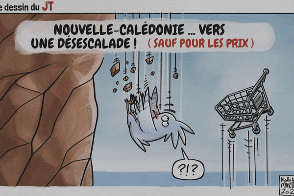 Dessin du JT 13 octobre 2024