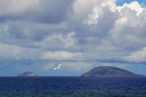 Iles aux Serpents et île Ronde