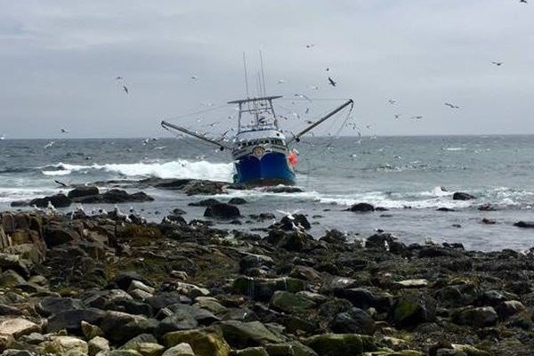 Le Arlene Adonna échoué sur l'île aux Marins 2