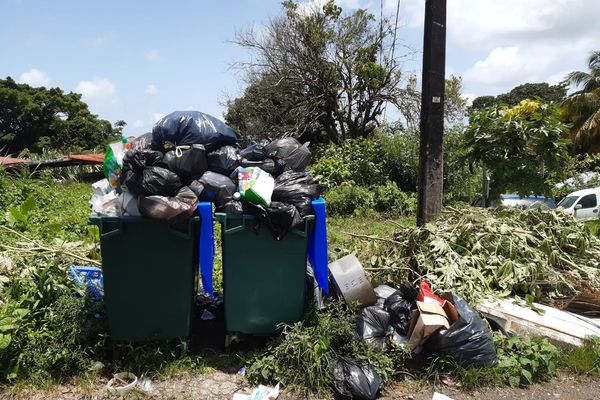 Poubelles / conflit / déchet