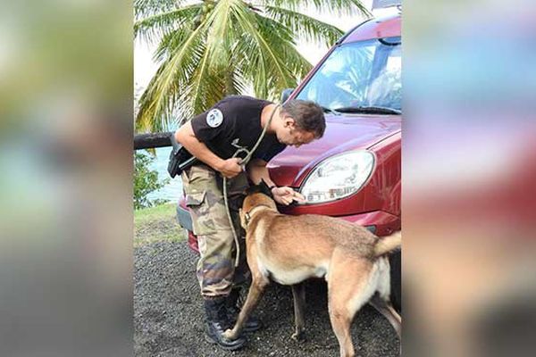 Chien et gendarme