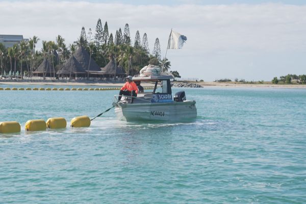 Une barrière de 400 mètres de long est installée sur la plage du Château Royal à Nouméa, le 10 septembre 2024.