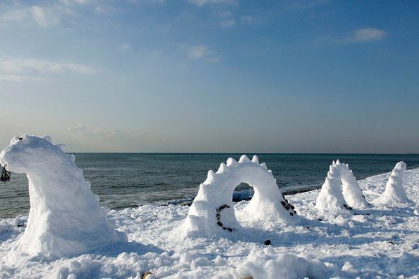 poisson de neige sur la plage de Rivière Sens