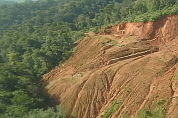 Déforestation du plateau des Guyanes