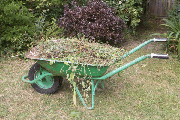 Déchets verts