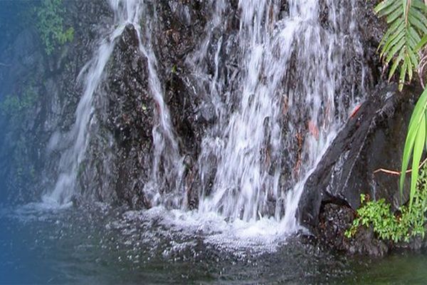 Rivière du nord de la Martinique