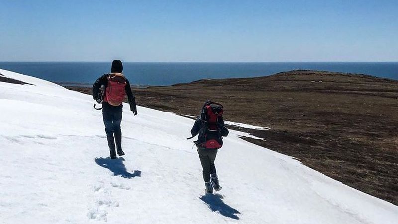 Sphaigne (Saint-Pierre et Miquelon)  Balade : Randonnée près de chez vous