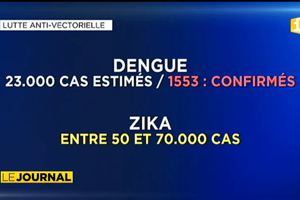 Zika, dengue, chikungunya : même combat