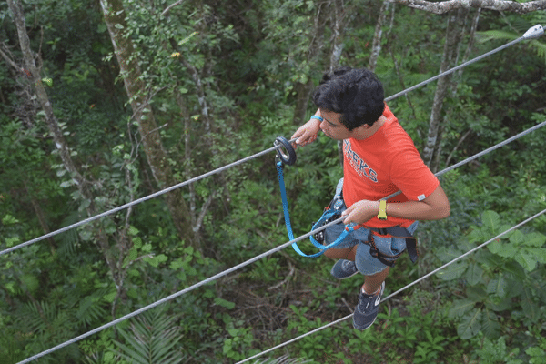 Accrobranche au parc des Grandes Fougères.