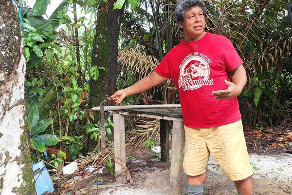 Karel Kawafodi tient en main la laisse de Toufi. Le chien de la famille a été dévoré par un félin le 10 décembre