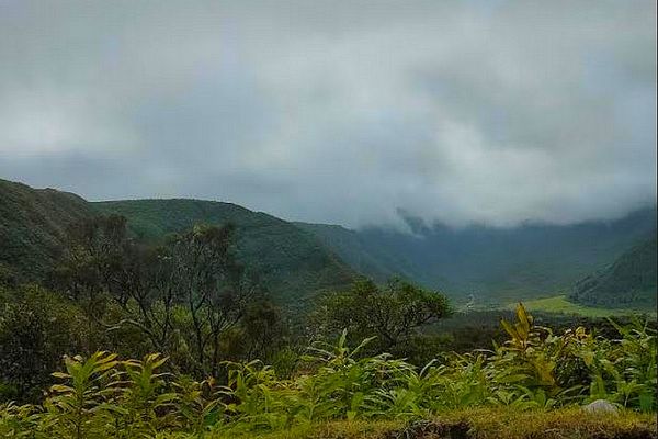 Plaine des Palmistes sous les nuages juillet 2021