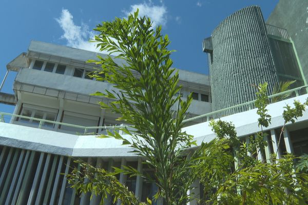 La Chambre d'agriculture de la Réunion.