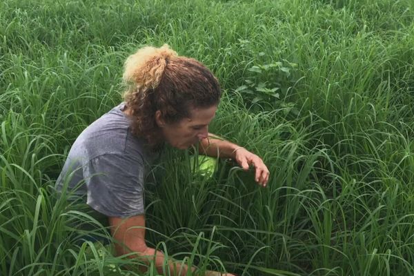 Carole Leveneur, agricultrice dans les hauts de la Saline