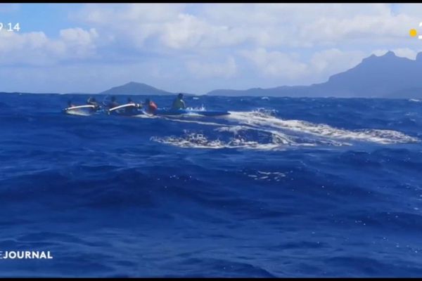 Bora Bora te hoe mamu accompagne Shell va’a à la Molokai hoe