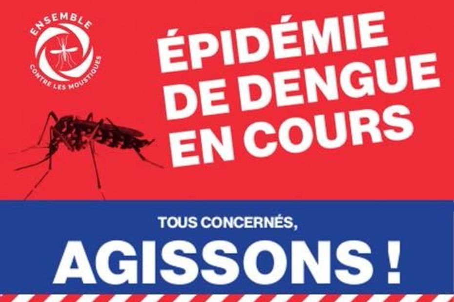 I casi di dengue si sono stabilizzati a Reunion