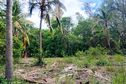 La Réunion : vigilance jaune, fortes pluies et orages, sur l'Ouest et le Sud de 11h à 19h