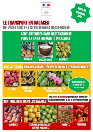 export de végétaux fruits dans bagages réglementation 031219