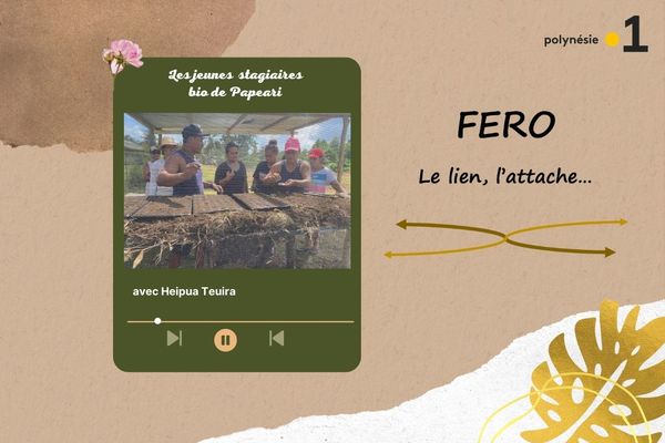 Fero : rencontre avec les stagiaires BIO de Papeari