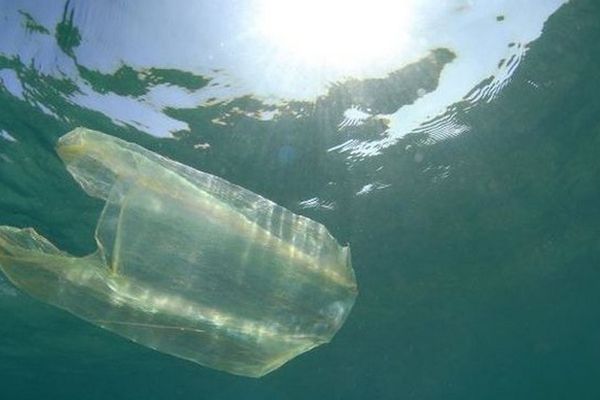 sac plastique dans la mer