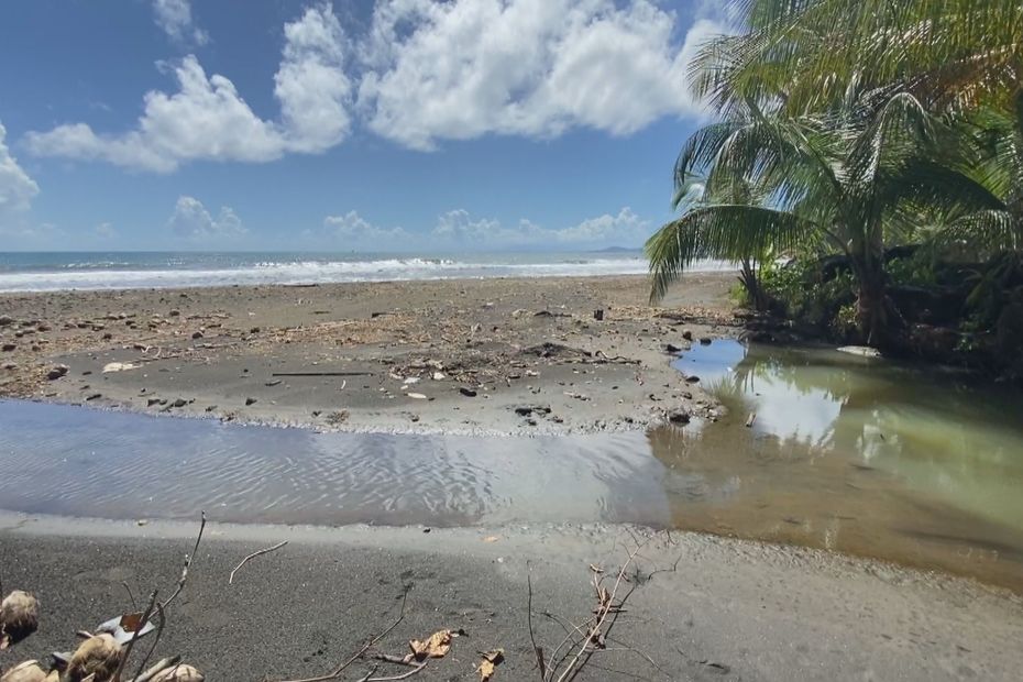 Capesterre-Belle-Eau: bathing ban on Bananier beach due to pollution