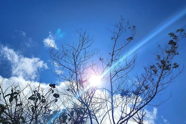 Le soleil sur les hauts du Sud 25 juillet 2022