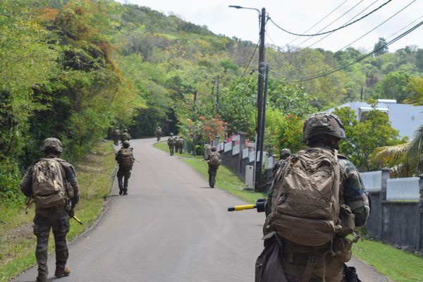 33e RIMa / armée de terre / défense / exercice / sécurité / soldats / militaire