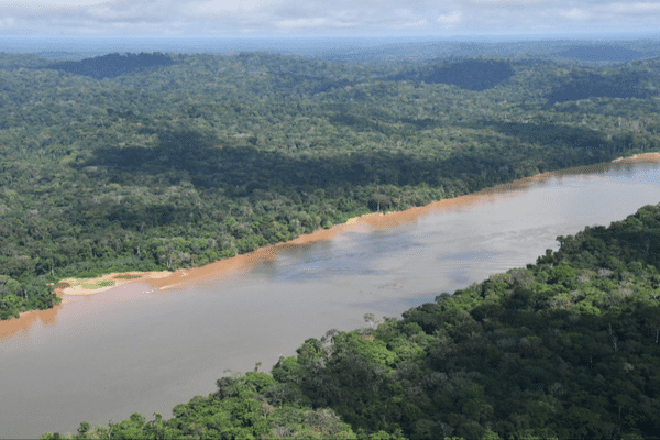 Le fleuve Maroni