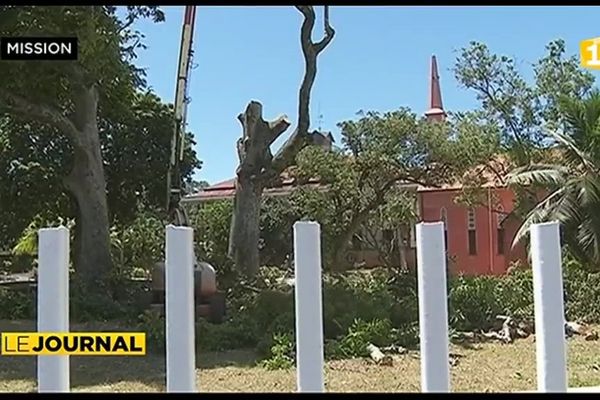 L’arbre centenaire a dû être abattu