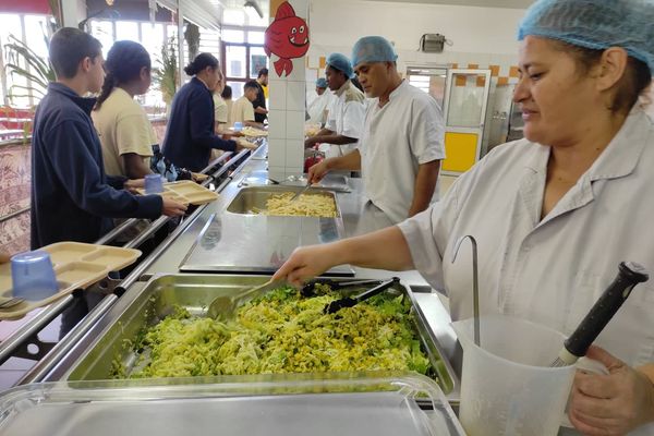 Au collège Gabriel de Païta, l'entrée du jour est une salade de chouchoutes du pays, saupoudrée de coco frais râpé.