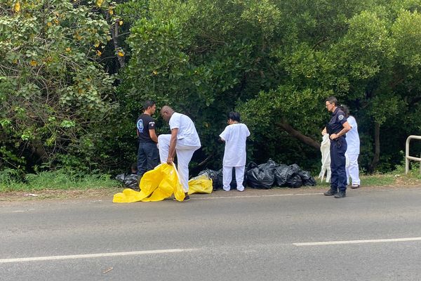 Un corps retrouvé dans la mangrove de M'Gombani