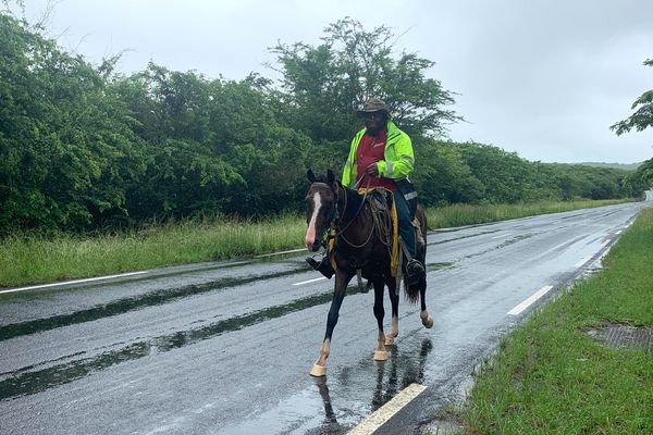 Dans le Nord de la Grande Terre, en vigilance orange, un habitant de Tiaoué circule à cheval faute de pouvoir sortir de sa tribu en voiture.