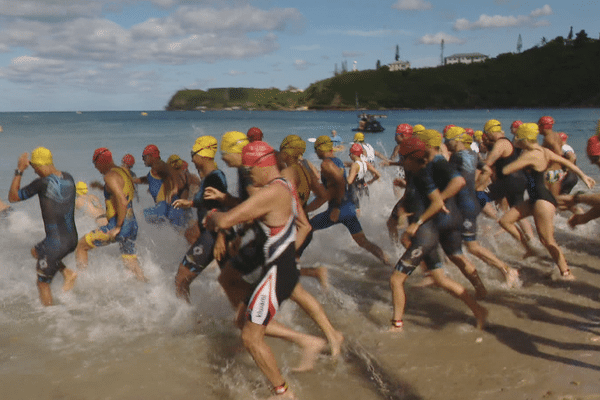 Face au risque requin, les associations et ligues sont contraintes de repenser la sécurité des épreuves sportives.