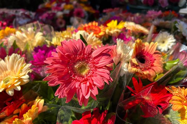 La Toussaint et la Saint-Valentin font partie des journées les plus lucratives pour les marchands de fleurs.