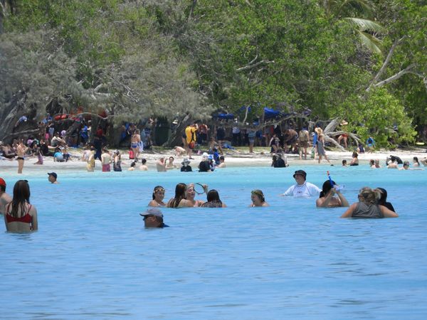 Des croisiéristes à l'Ile des Pins